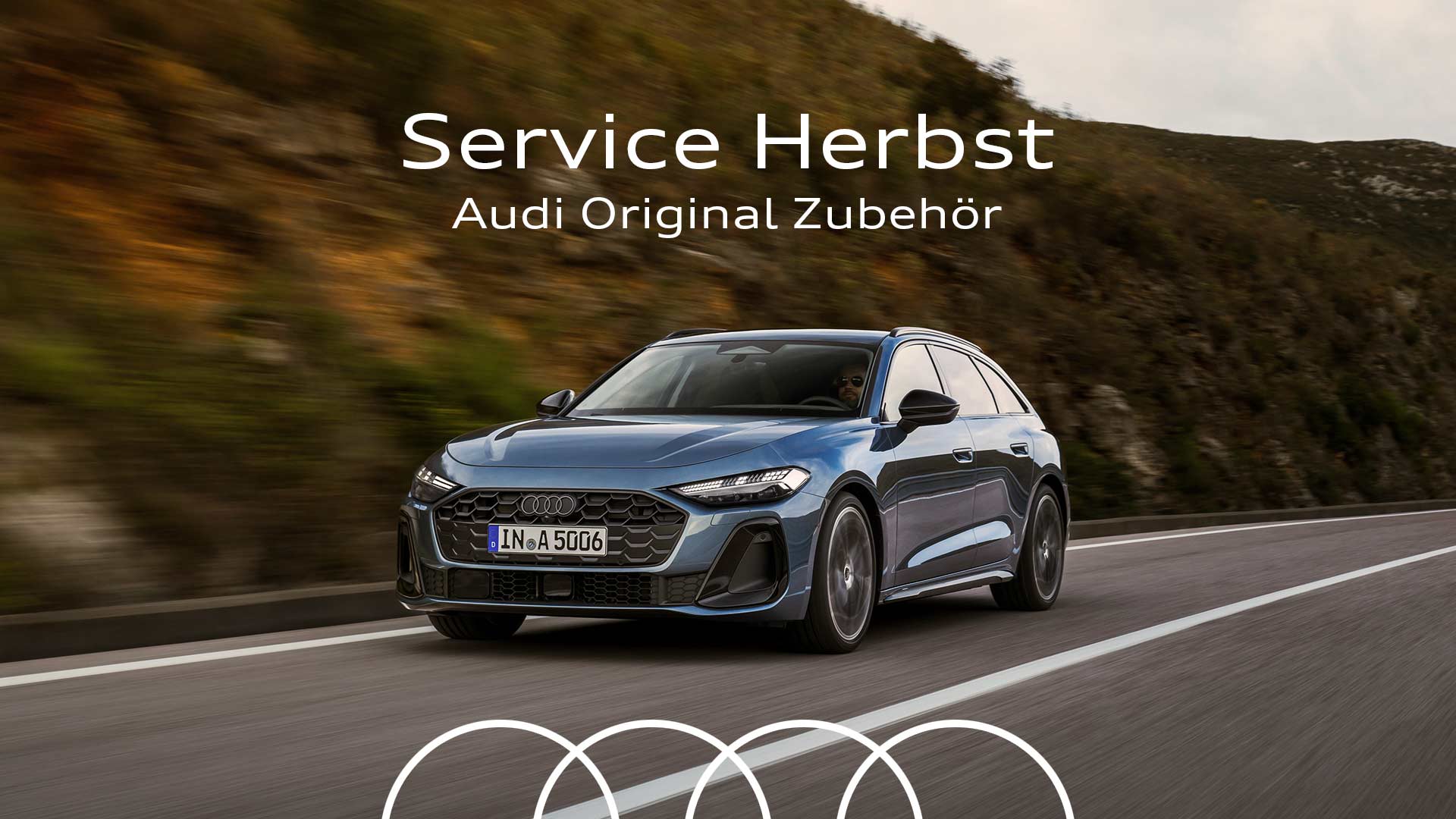 Audi Herbst Service